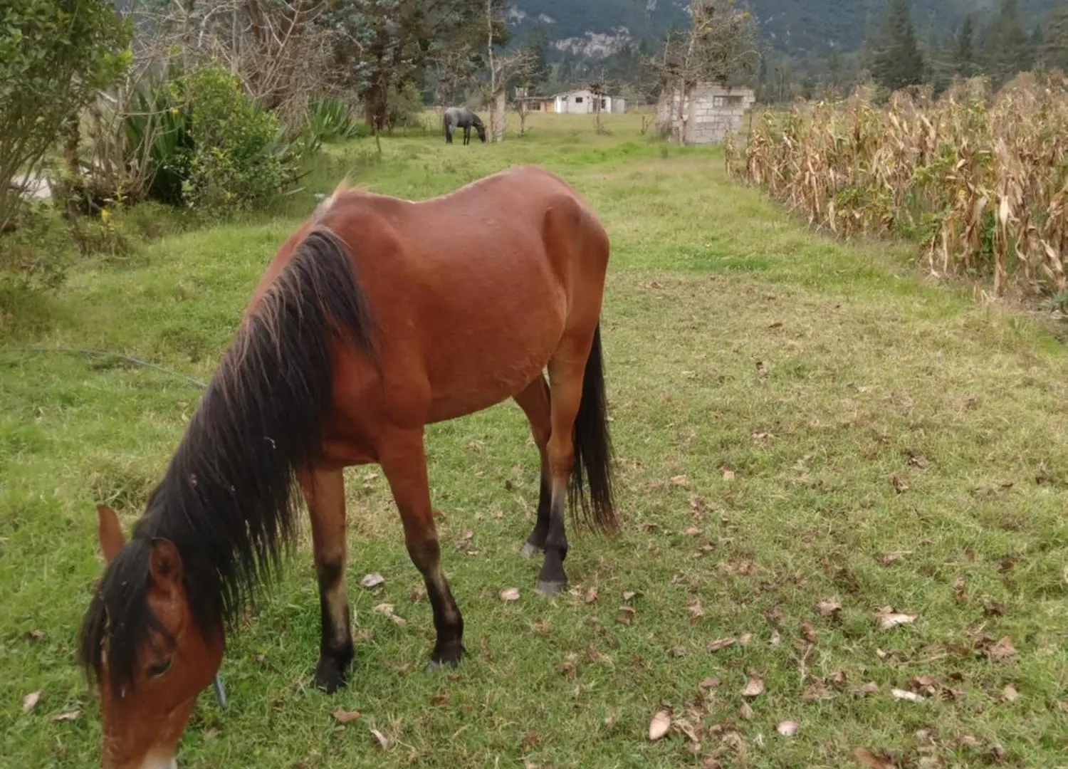 Chalé Pululahua Magia Y Encanto Quito Equador